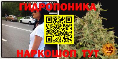 дживик Ливны