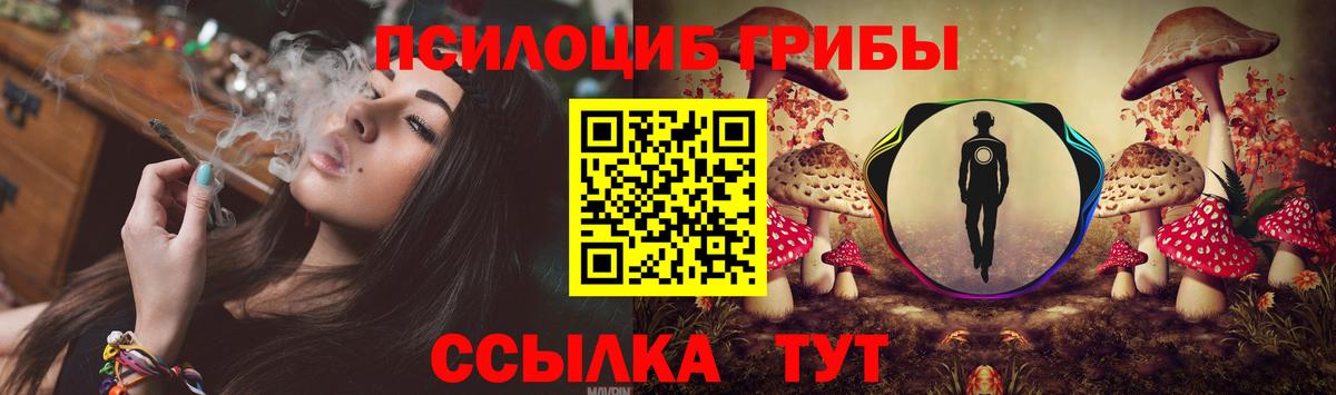 Воркута  Псилоцибиновые грибы мицелий  где можно купить   Вход с VPN 